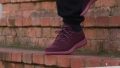 Allbirds Wool Runners Cozy