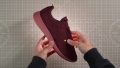 Allbirds Wool Runners Light Transparency